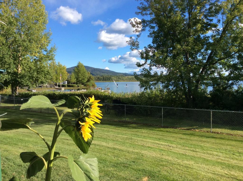 Robert'S Roost Rv Park Resort Quesnel Exteriör bild