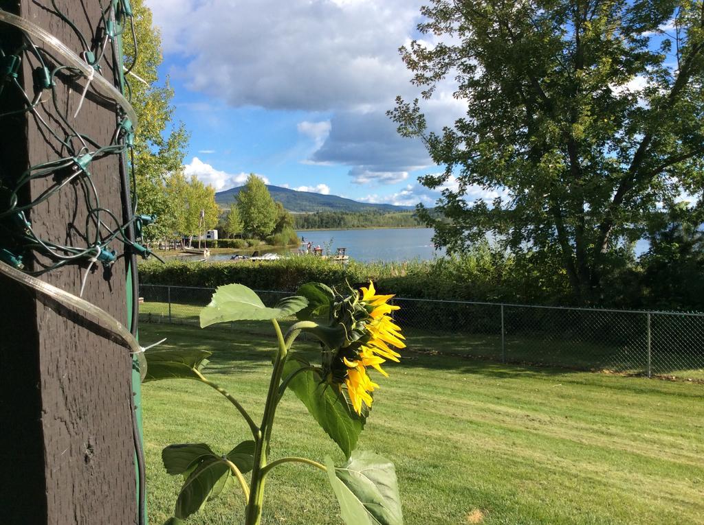 Robert'S Roost Rv Park Resort Quesnel Exteriör bild